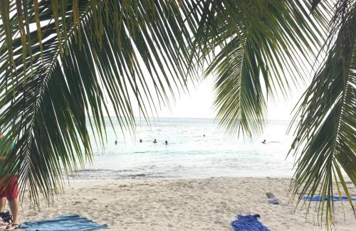 Riviere-Pilote Apartment | TI PARADIS DE l'ANSE FIGUIER VILLA voir site vacances en martinique