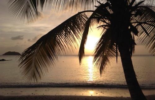 Riviere-Pilote Apartment | TI PARADIS DE l'ANSE FIGUIER VILLA voir site vacances en martinique