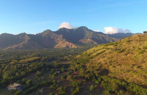 Pemuteran Bed & Breakfast | Tiara Homestay Pemuteran Bali