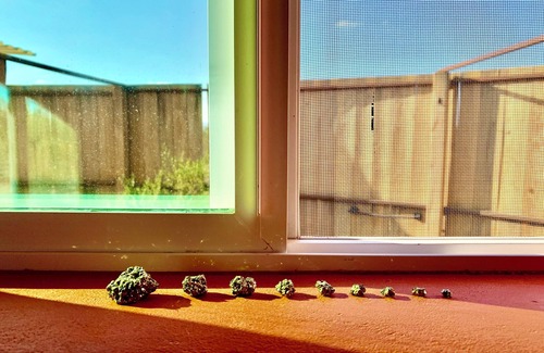 Picture Rocks House | Time Capsule in the Sonoran Desert with AC