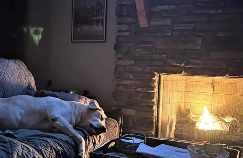 Wolf Laurel House | Time Out