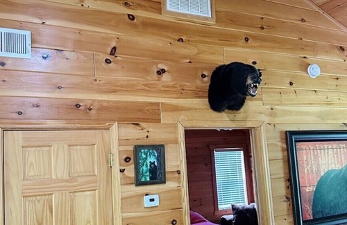 Blairsville Cabin | Timmons Gorgeous Cabin on Nottely River
