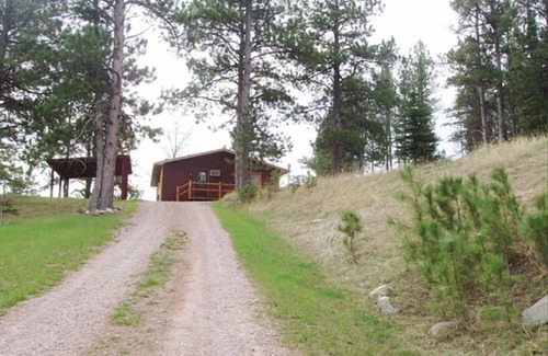 Hill City Cabin | Tin Mill Cottage on a quiet wooded lot, walking distance to downtown!