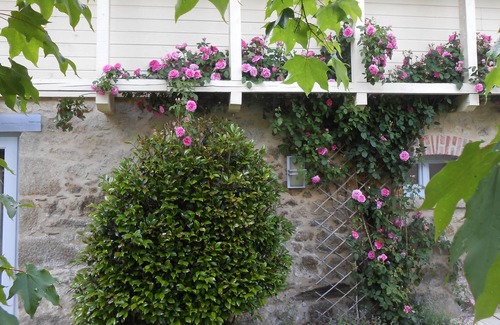 Boisset House | Tiny and very comfortable traditionnal Cottage for 2-3 people; garden and pool