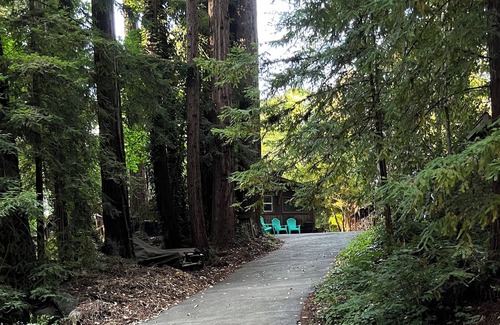 Soquel Cabin | Tiny Art House in the Santa Cruz Mountains