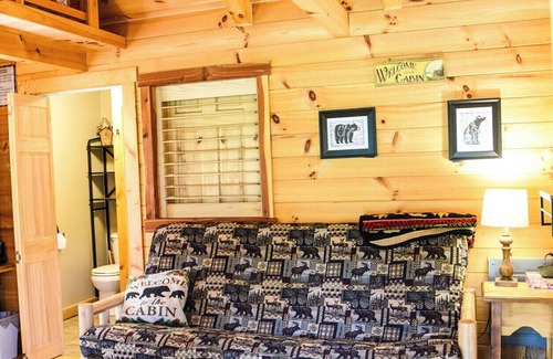 Leeper Cabin | Tiny Bear Log Cabin near Cook Forest State Park
