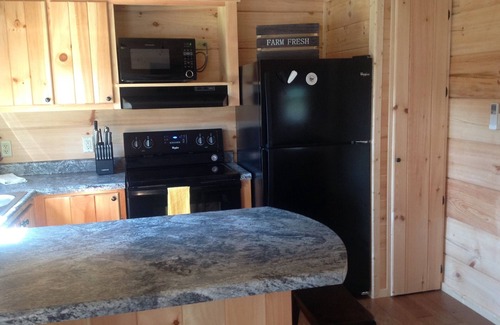Mill Spring Cabin | TINY CABIN IN TRYON NC - 3 MILES TO TIEC- PET FRIENDLY