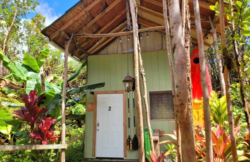 Fern Forest Cabin | tiny home 2 rustic with kitchen near Volcano National Park