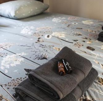 Voorthuizen Ski Chalet | Tiny House 'Het Berkenhuisje'