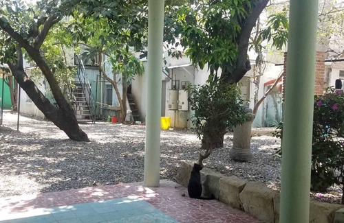 Centro Apartment | Tiny studio cottage in gated community in Oaxaca's Historical District
