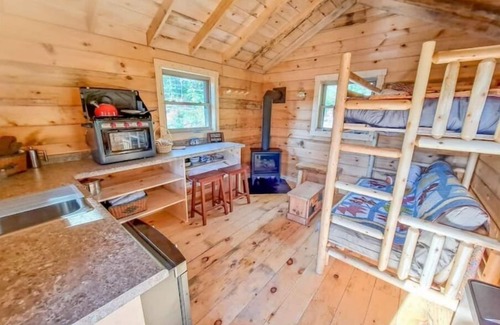Hovland Cabin | Tiny Tuloon Off-Grid Amish crafted log cabin near the BWCA & SHT - Sled Dogs!