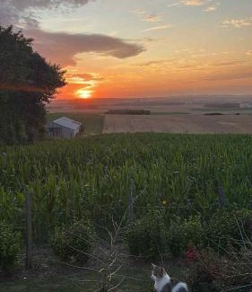 Fiennes Other | Tipi en bois