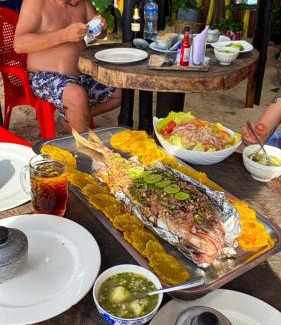 Bocachica House | Tipiland baru la casa del mono