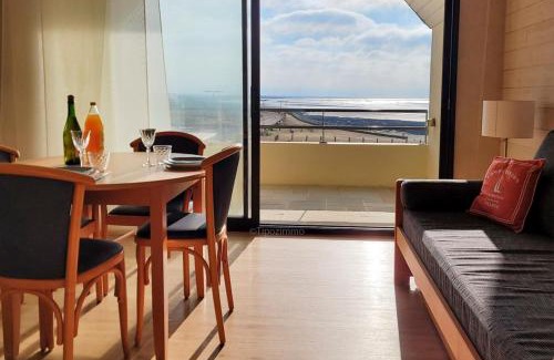 Pouldreuzic Apartment | Tipoz'immo-Le Grand Grand 209 -vue et accès direct à la mer-animaux acceptés