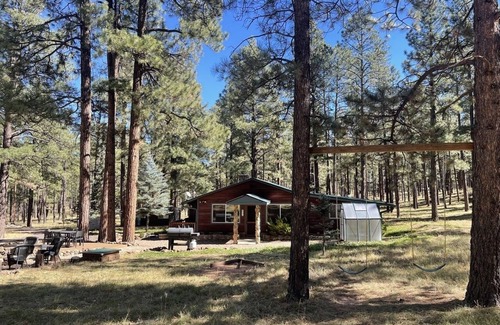 Greer Cabin | Tipsy Trout Cabin; a Hidden Gem in the Pines