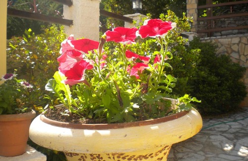 Potamia House | To Patriko tou Psillou