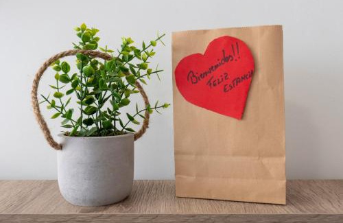 Torrenueva Apartment | Todimer Torrebech