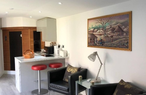 Grays Apartment | TommyVille Lux Studio
