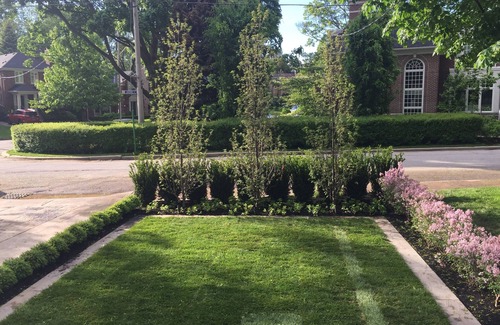 East York House | Toronto - Central Location, Classic Leaside Neighbourhood