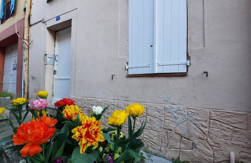 Montastruc-la-Conseillere Apartment | Toulouse 15 min renovated 2-person apartment on ground floor 140 cm bed