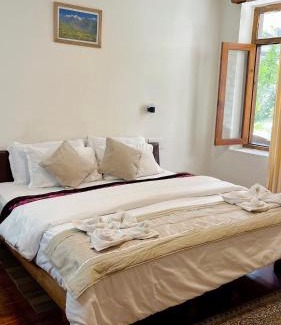New Manali Hotel | Tourist Hotel 10 minutes walking distance from the mall
