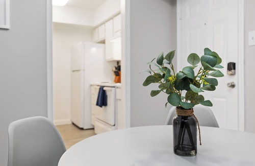 Houston Apartment | Towne Plaza Apartments #292 in the Galleria Area