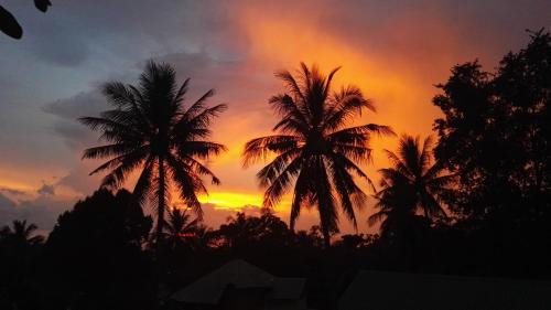 Ko Chang Resort | TP Hut Bungalows