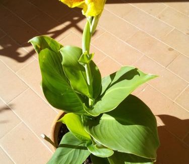 Castrovillari Bed & Breakfast | Tra Gli Ulivi