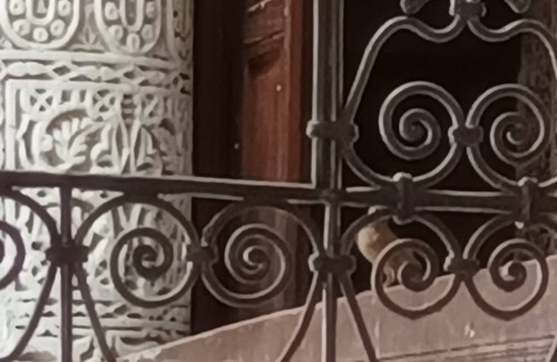 Talaa House | Traditional Dar in Fes Jdid 360° view terrace