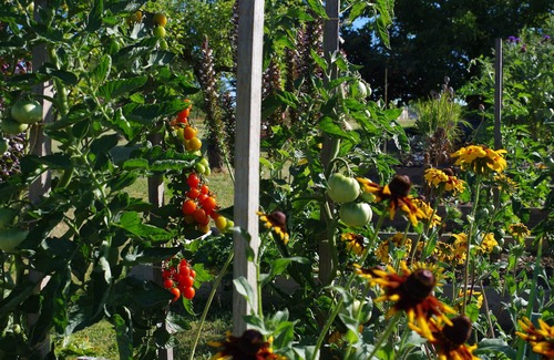 Levignac-de-Guyenne House | Traditional Charm Modern Luxuries Panoramic Views Covered Veranda, Fabulous Pool