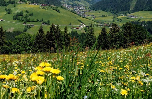 Auffach House | Traditional inn Weissbacher - double room