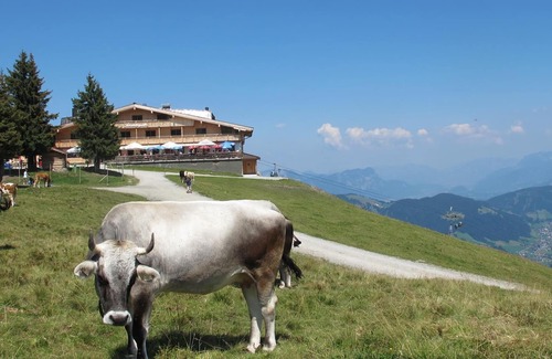 Auffach House | Traditional inn Weissbacher - double room