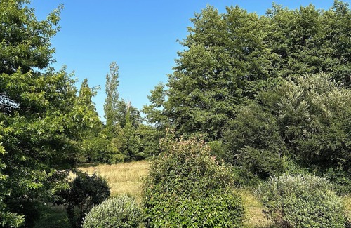 Levignacq House | Traditional Landes house for rent