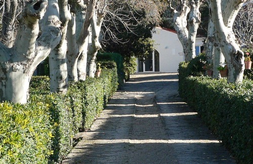 Cascais House | Traditional House surrounded by a large Garden Near the Beach, Sintra & Cascais