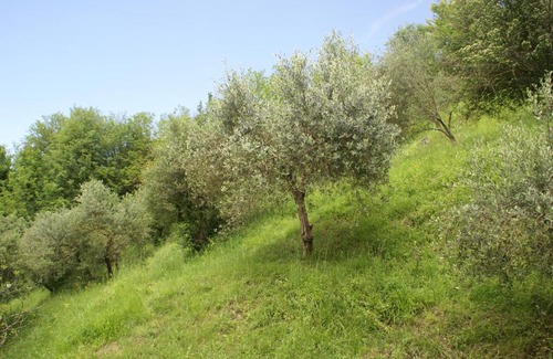 Mologno Ski Chalet | Tradizione Toscana ristrutturata nel 2021