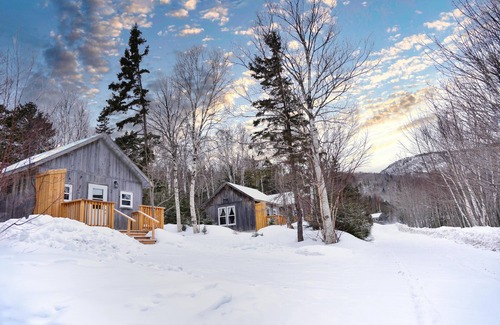 Wreck Cove Cabin | Trailside Cottage #1