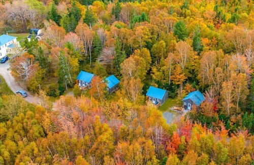 Wreck Cove Cabin | Trailside Cottage #4