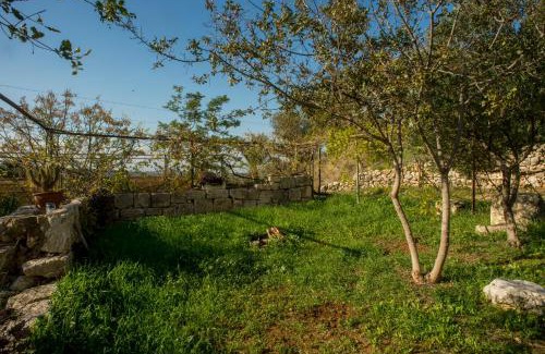 Klil House | tranquil beautiful house כליל השחר- צימרים מהממים במיקום מרגיע למשפחות וזוגות