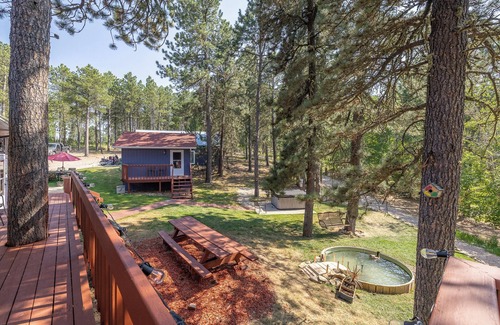 Deadwood Apartment | Tranquil Cabin Getaway in the Heart of Deadwood!