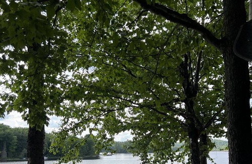 Novar House | Tranquil cottage on a lake with canoes, dock and lots of peace.