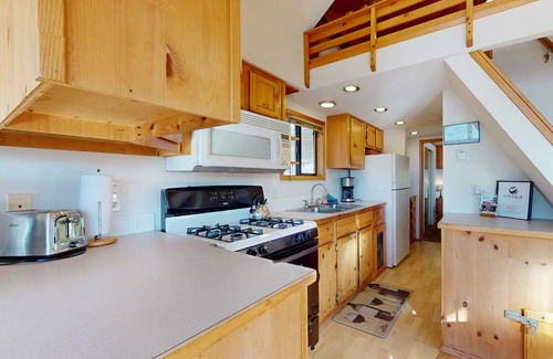 Brookings Cabin | Tranquil dog-friendly coastal escape with private hot tub, patio, & nature views