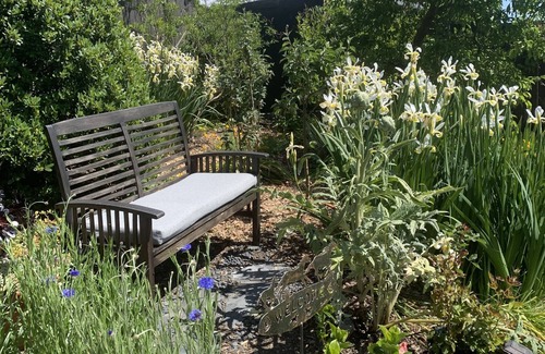 San Pablo Cottage | Tranquil garden cottage with WiFi in San Pablo