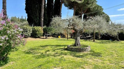 Passignano sul Trasimeno Apartment | Tranquil location with views of Lake Trasimeno!