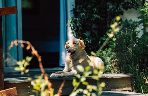 Cape Town House | Tranquil Mountain Retreat Hout Bay Cottage