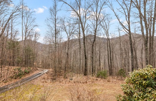 Barnardsville House | Tranquil mountain-view home with fireplace, firepit, deck, W/D, & soaking tub