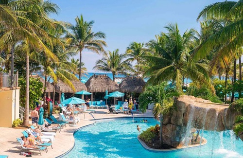 Hollywood Hotel | Tranquil Room Perfect for a Relaxing Florida Getaway | Pet-Friendly Retreat