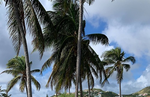 Saint Kitts and Nevis Condo | Tranquility....a cozy condo steps from Ocean & resort pool & minutes from beach