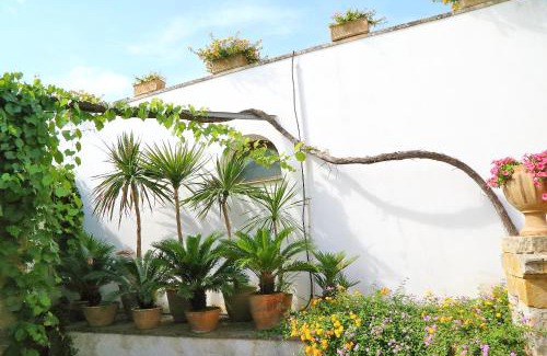 Marittima Bed & Breakfast | Trappitu dei Settimi