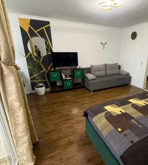 Baiersbronn Apartment | Traumblick FeWo mit Pool