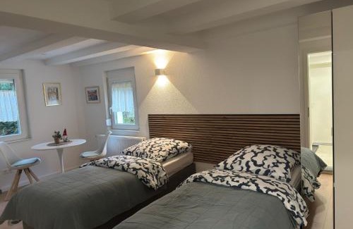 Aldingen Apartment | Traumhaft modernes Zimmer mit Doppelbett,Gemeinschaftsbad und WC in 78554 Aldingen